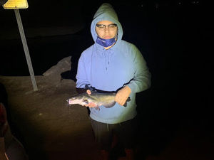 Meet your Posher, Sammy